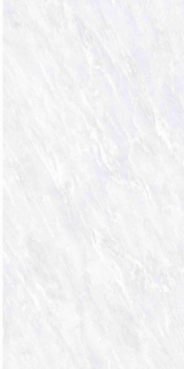 OL Vivid White Matte 12 x 24
